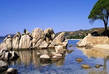 竞彩足球葡萄牙对阵法国，这场焦点战该怎么看？